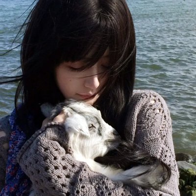 广岛料理 海报