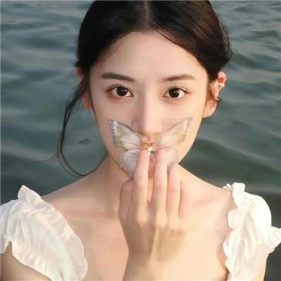 半岛恋歌 海报